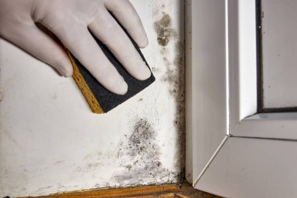 Best Indoor Air Quality Assessment  in West Melbourne, FL