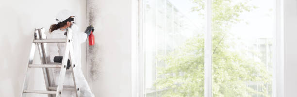 Best Emergency Mold Remediation  in West Melbourne, FL